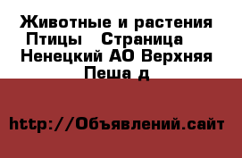 Животные и растения Птицы - Страница 2 . Ненецкий АО,Верхняя Пеша д.